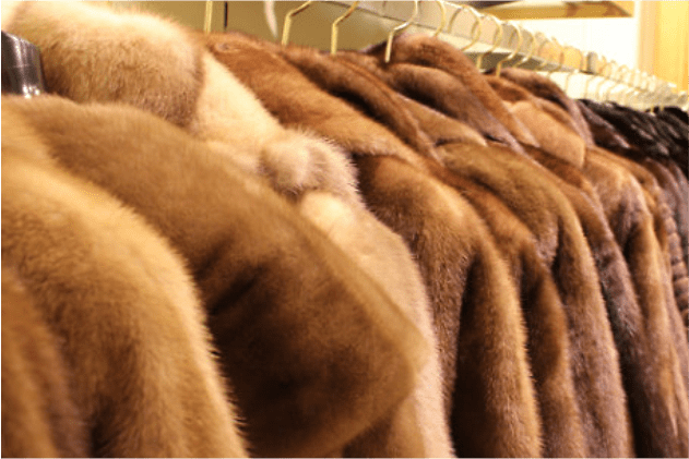 Автоматизация магазина "Корона" в ЦУМе Автоматизация магазина "Корона" в ЦУМе