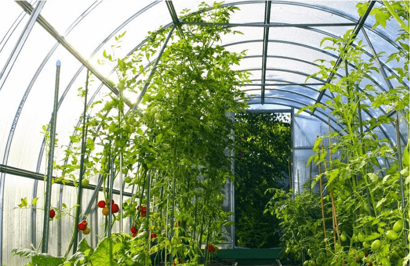 Автоматизация продажи теплиц у ИП Тарасевича А.Ю Автоматизация продажи теплиц у ИП Тарасевича А.Ю