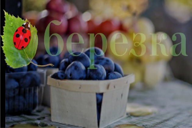 Бизнес-аналитика для сети "Березка" г. Ухта Бизнес-аналитика для сети "Березка" г. Ухта