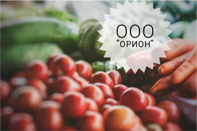 Комплексный подход к автоматизации магазинов в небольших населенных пунктах Комплексный подход к автоматизации магазинов в небольших населенных пунктах