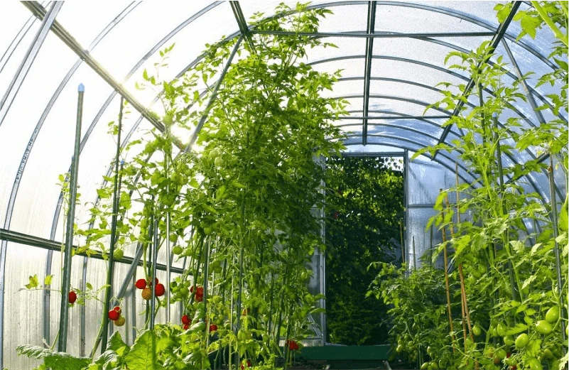 Автоматизация продажи теплиц у ИП Тарасевича А.Ю